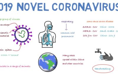 NUEVOS VIRUS RESPIRATORIOS, INCLUIDO EL COVID-19: MÉTODOS DE DETECCIÓN, PREVENCIÓN, RESPUESTA Y CONTROL